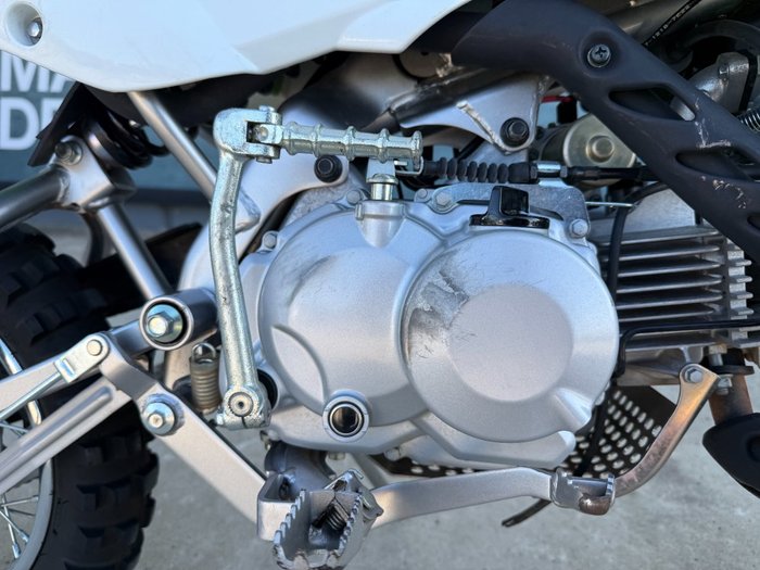 2018 Kawasaki KLX110 Green