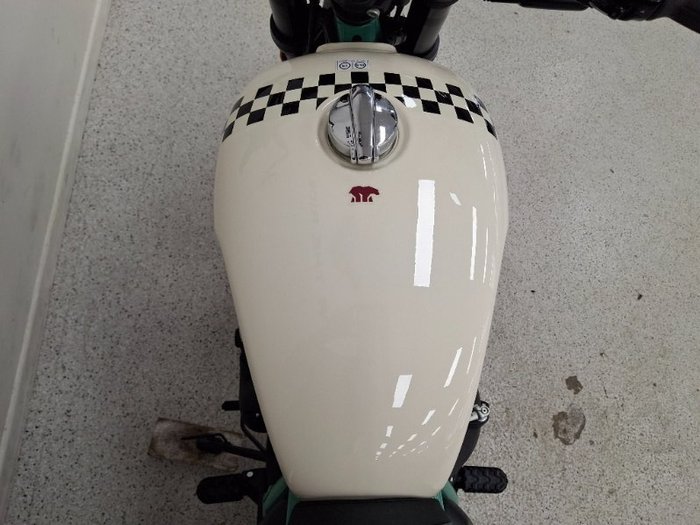 2026 Royal Enfield BEAR 650 WHITE 249