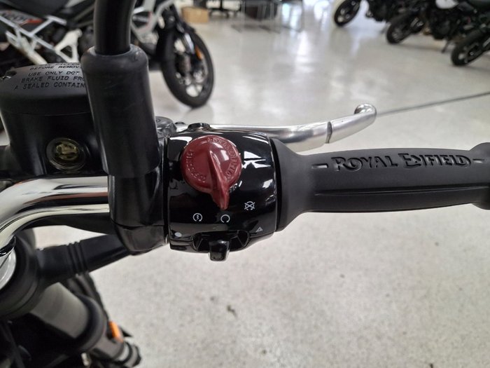2026 Royal Enfield BEAR 650 WHITE 249