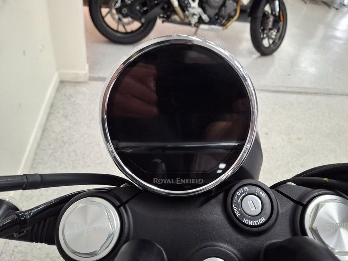 2026 Royal Enfield BEAR 650 WHITE 249