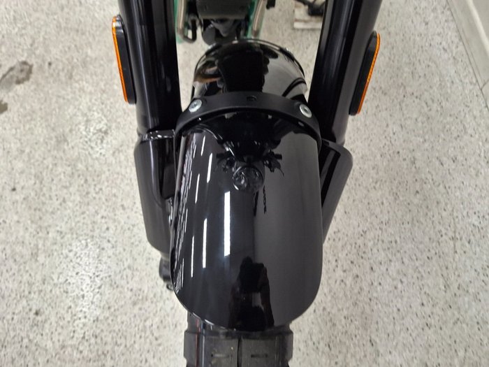 2026 Royal Enfield BEAR 650 WHITE 249