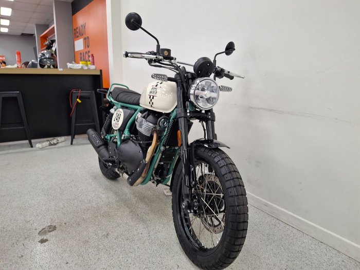2026 Royal Enfield BEAR 650 WHITE 249