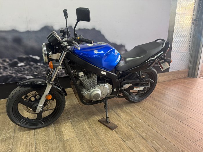 2009 Suzuki GS500 BLUE