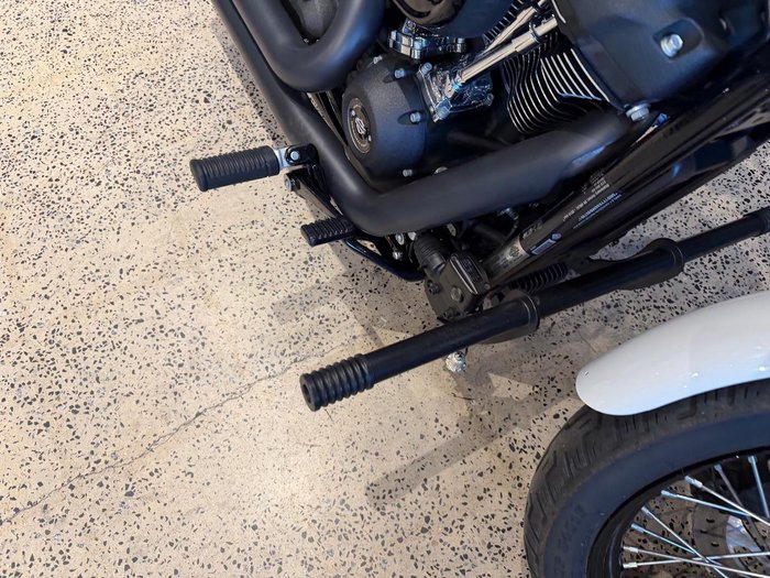 2021 Harley-Davidson Street Bob 114 (FXBBS)