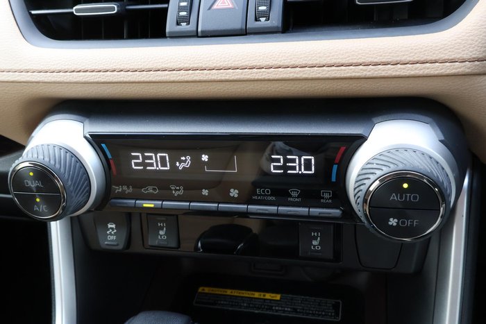 2021 Toyota RAV4 Cruiser