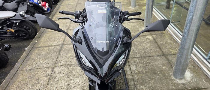 2025 Kawasaki Ninja 1100SX Ninja Grey