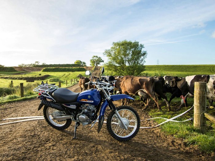 YAMAHA AG125 FARM AG