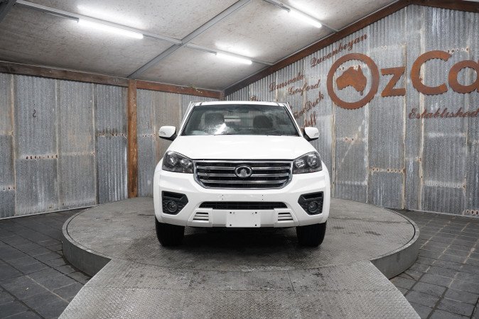 2021 GREAT WALL STEED