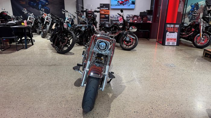 2025 Harley-Davidson Fat Boy Gray Ghost (FLSTFI) Softail