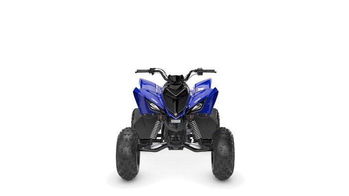 2026 Yamaha RAPTOR 110