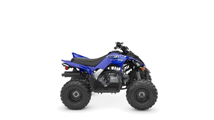 2026 Yamaha RAPTOR 110