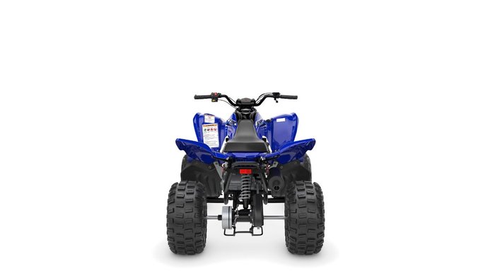 2026 Yamaha RAPTOR 110