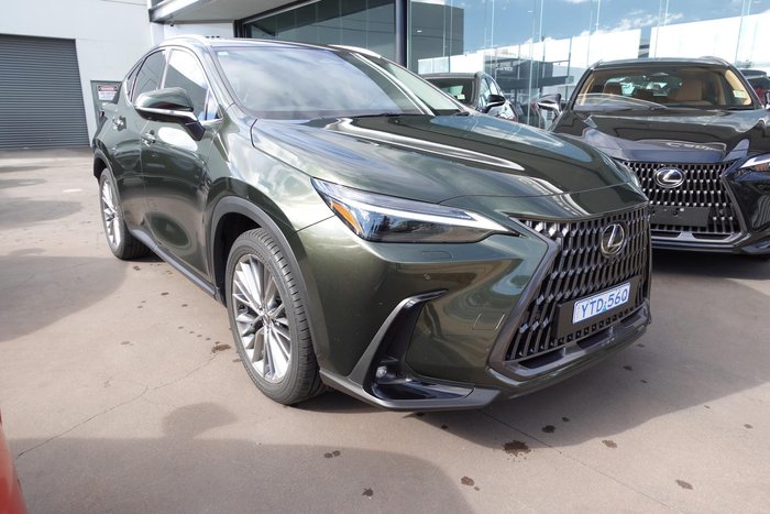 2024 Lexus NX 350h Sports Luxury