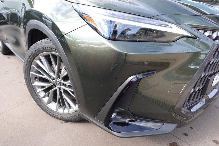 2024 Lexus NX 350h Sports Luxury