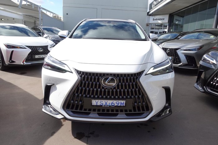 2025 Lexus NX 350h Sports Luxury