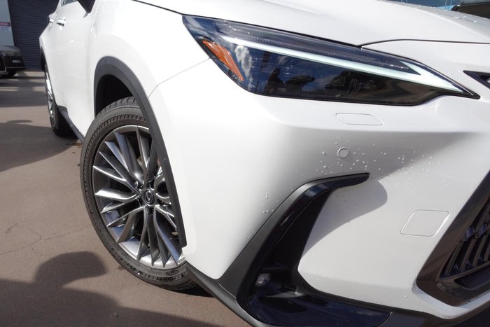 2025 Lexus NX 350h Sports Luxury