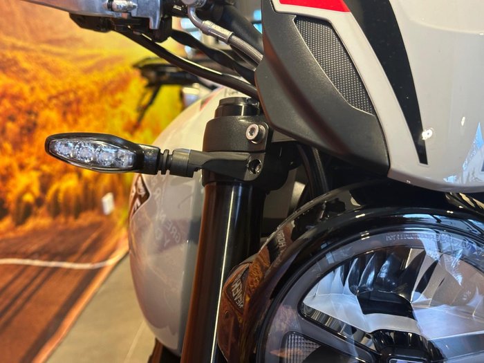 2026 Triumph Trident 800 Trident Grey