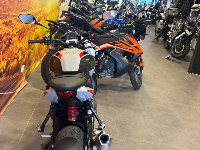 2026 Triumph Trident 800 Trident Grey