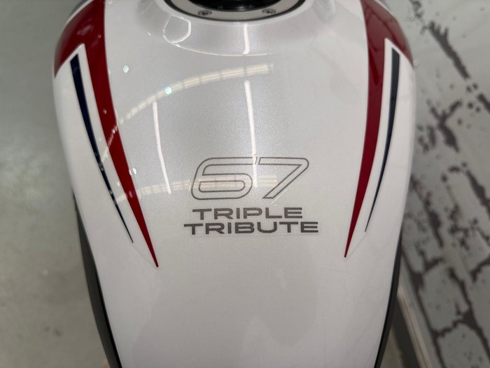 2024 Triumph Trident 660 Triple Tribute Edition Trident White