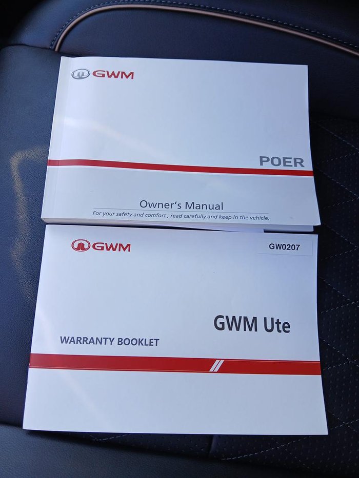 2021 GWM Ute Cannon-X