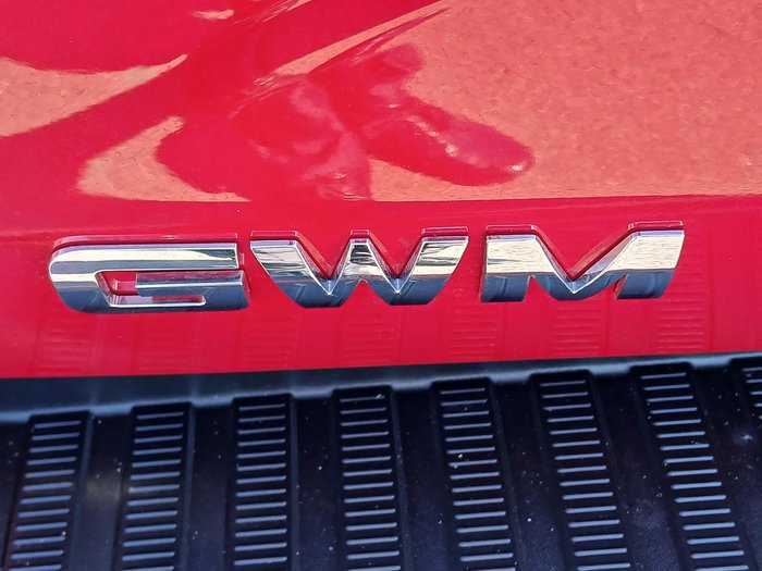 2021 GWM Ute Cannon-X
