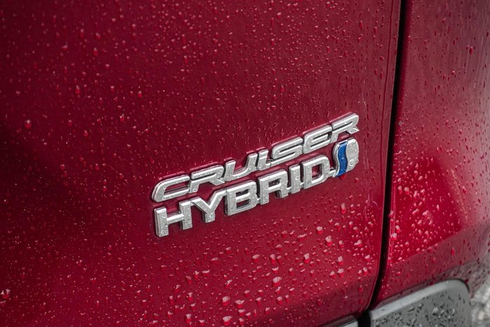 2020 Toyota RAV4 Cruiser
