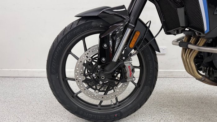 2026 Triumph TIGER 900 GT PRO ALPINE