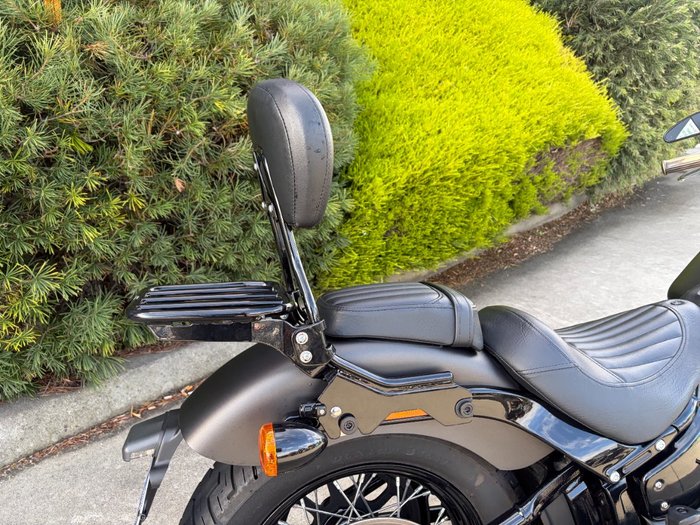 2021 HARLEY-DAVIDSON FLSL SOFTAIL SLIM (107)