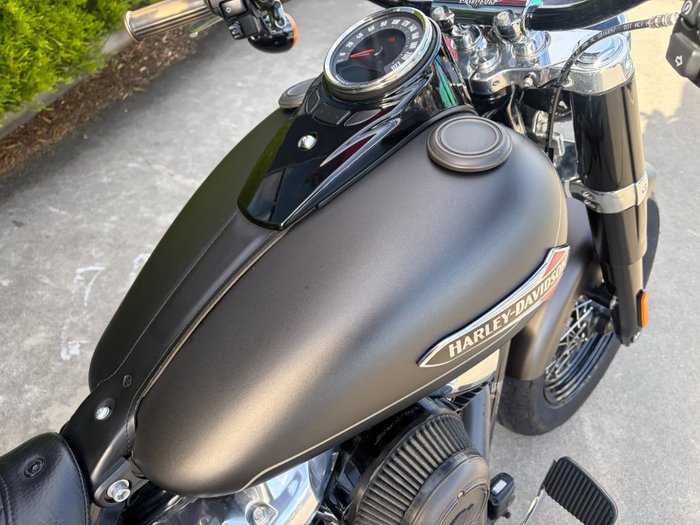 2021 HARLEY-DAVIDSON FLSL SOFTAIL SLIM (107)