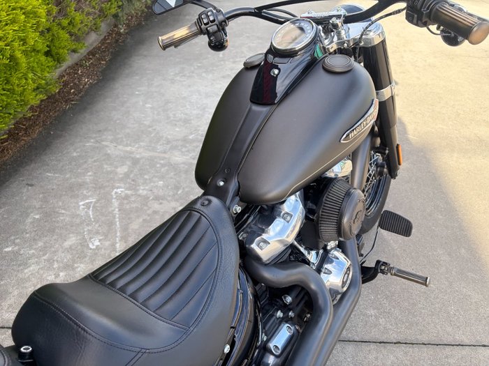 2021 HARLEY-DAVIDSON FLSL SOFTAIL SLIM (107)