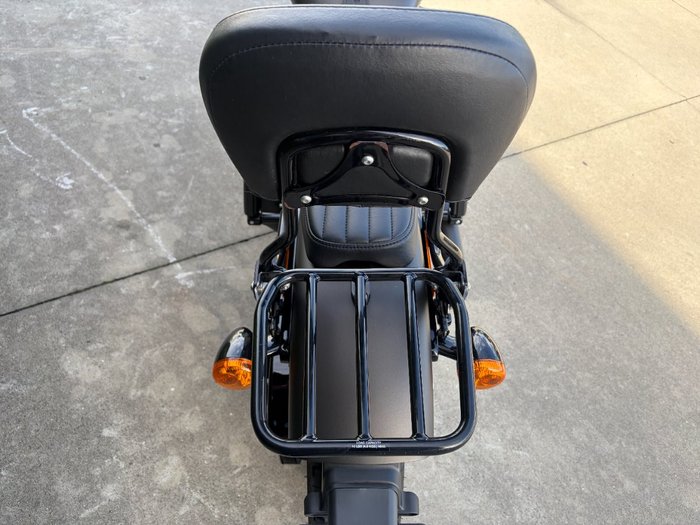 2021 HARLEY-DAVIDSON FLSL SOFTAIL SLIM (107)