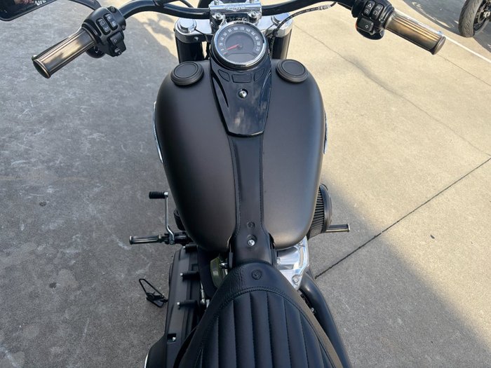 2021 HARLEY-DAVIDSON FLSL SOFTAIL SLIM (107)