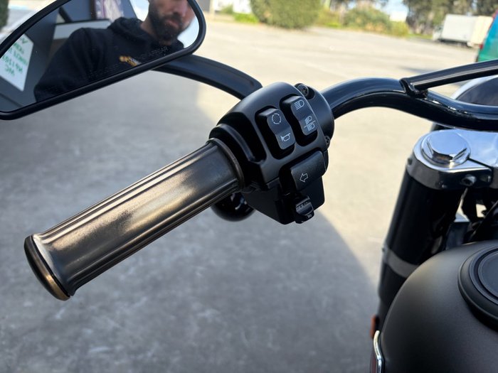 2021 HARLEY-DAVIDSON FLSL SOFTAIL SLIM (107)