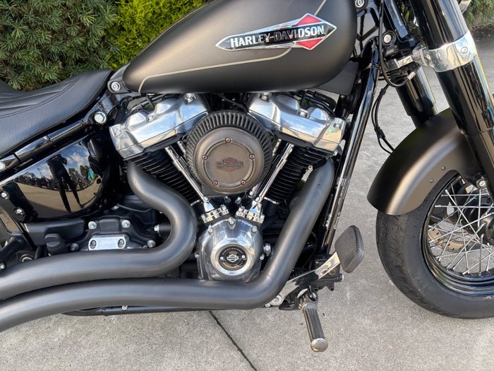 2021 HARLEY-DAVIDSON FLSL SOFTAIL SLIM (107)