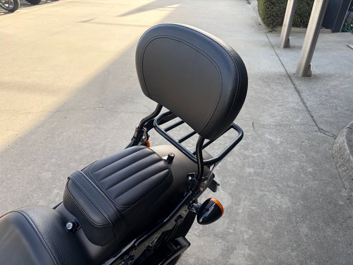 2021 HARLEY-DAVIDSON FLSL SOFTAIL SLIM (107)