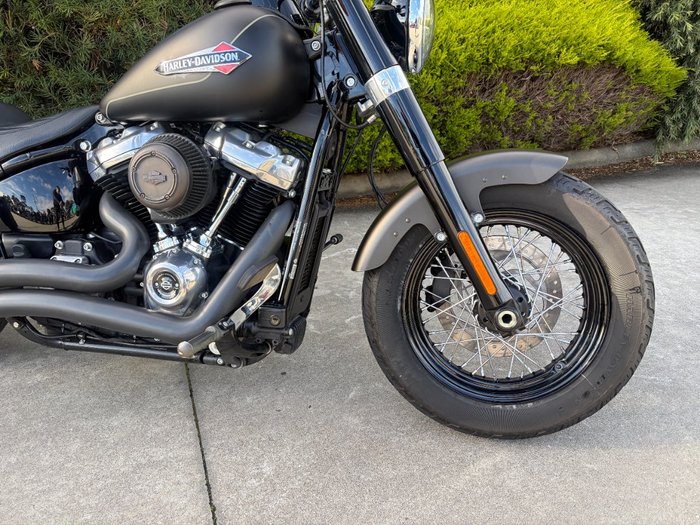 2021 HARLEY-DAVIDSON FLSL SOFTAIL SLIM (107)