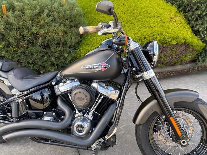 2021 HARLEY-DAVIDSON FLSL SOFTAIL SLIM (107)