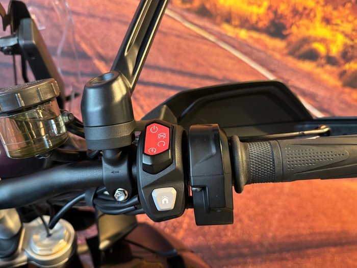 2023 Triumph Tiger 1200 Rally Explorer Tiger Black