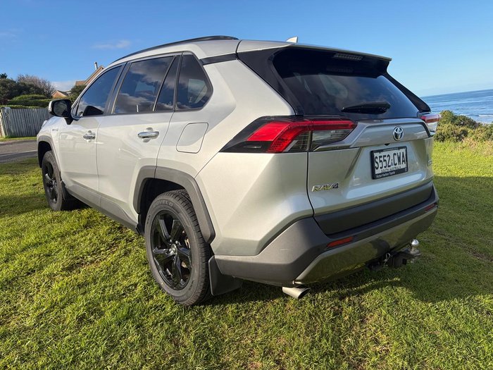 2019 Toyota RAV4 Cruiser
