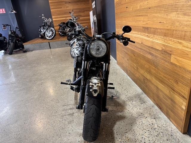 2009 Harley-Davidson Fat Boy Lo 1584 (FLSTFB)