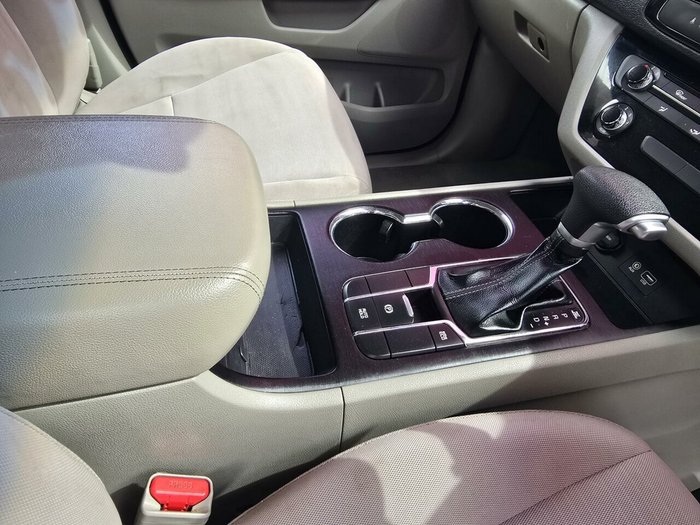 2019 Kia Carnival S