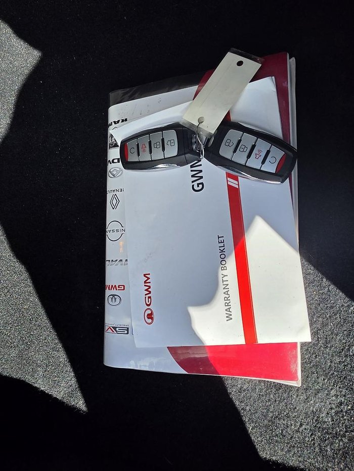 2022 GWM Ute Cannon-X