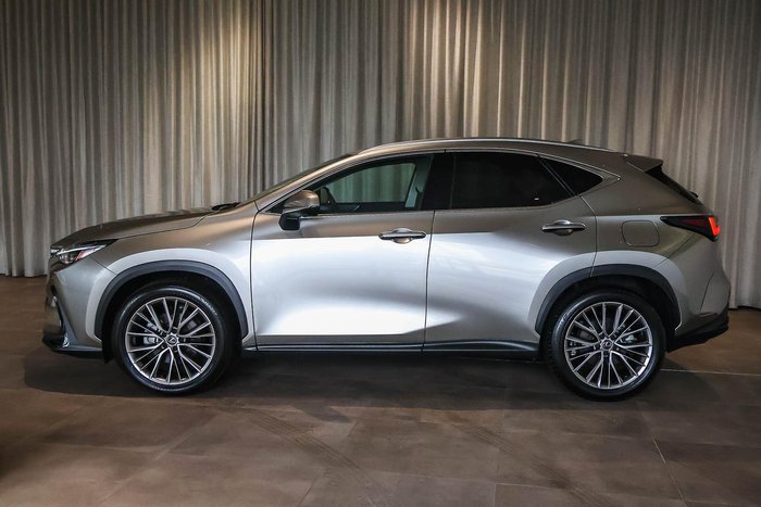 2023 Lexus NX 350h Sports Luxury