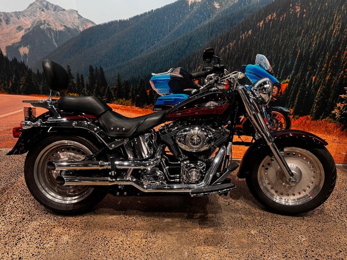 Harley-Davidson Fat Boy 96 (FLSTF) Softail