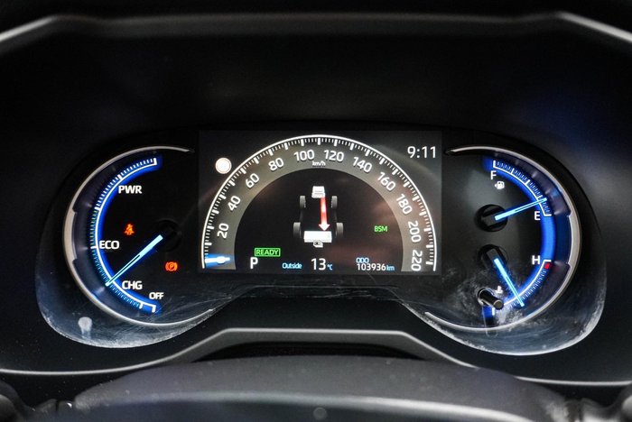 2019 Toyota RAV4 Cruiser