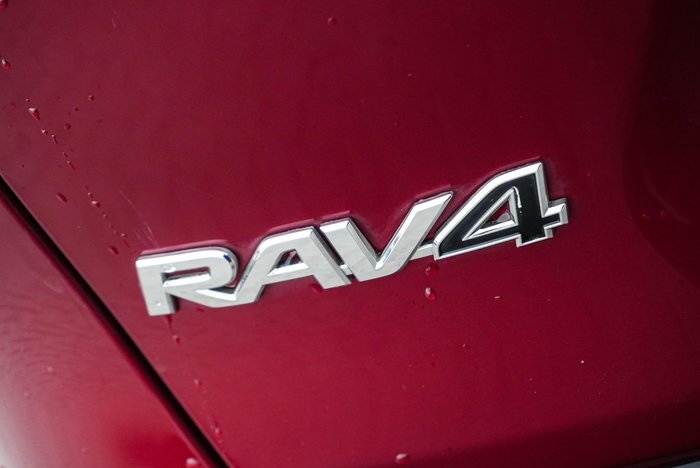 2019 Toyota RAV4 Cruiser