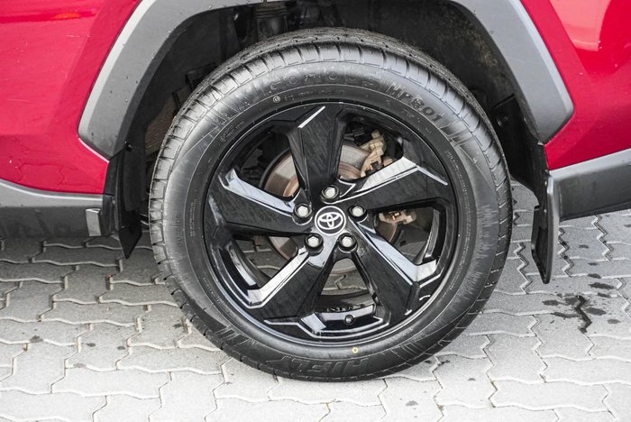 2019 Toyota RAV4 Cruiser