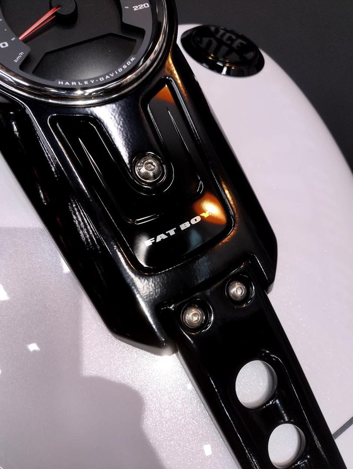 2026 Harley-Davidson Fat Boy 117 (FLFB) Softail White