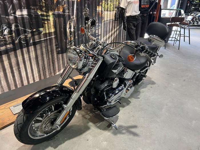 2011 Harley-Davidson