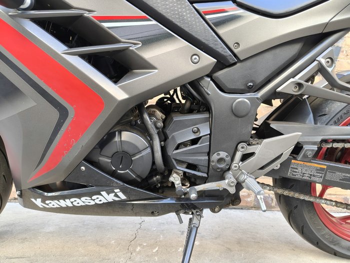 2015 KAWASAKI NINJA 300 (EX300A) ROAD GREY